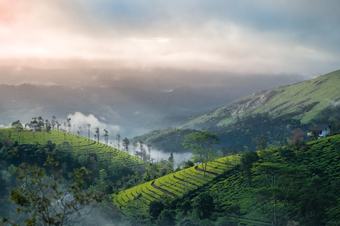 Vagamon honeymoon package with hill viewpoints