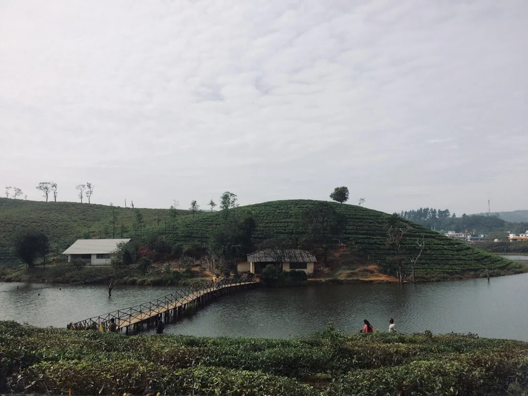 Vagamon Complete Sightseeing Tour