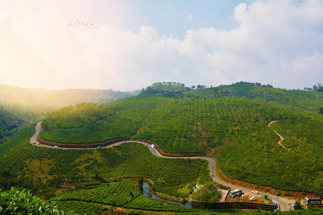 Vagamon Meadows